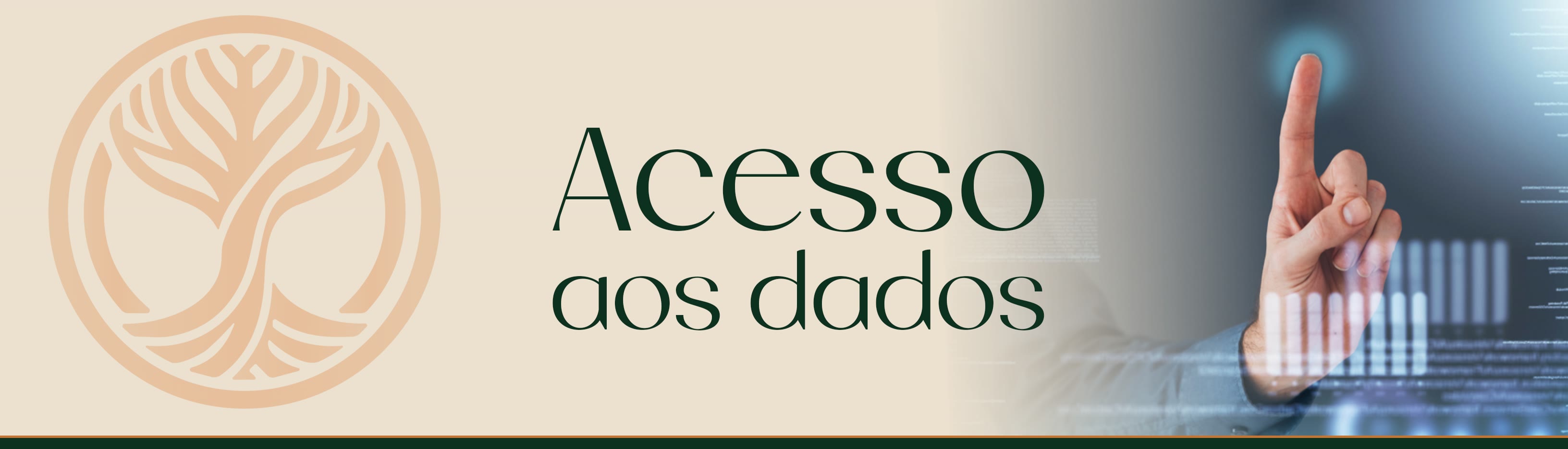 Acesso aos dados