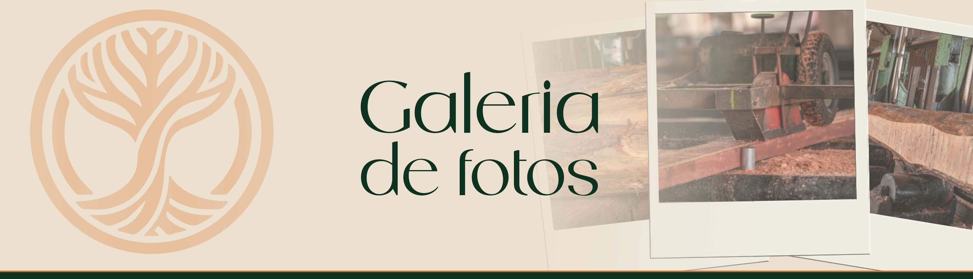 Galeria